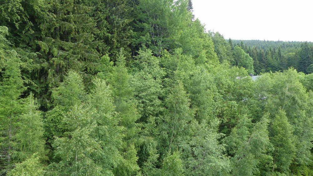 Apartman Bedrichov, Špindlerŭv Mlýn Exterior foto